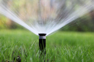 a photo of a sprinkler spraying water