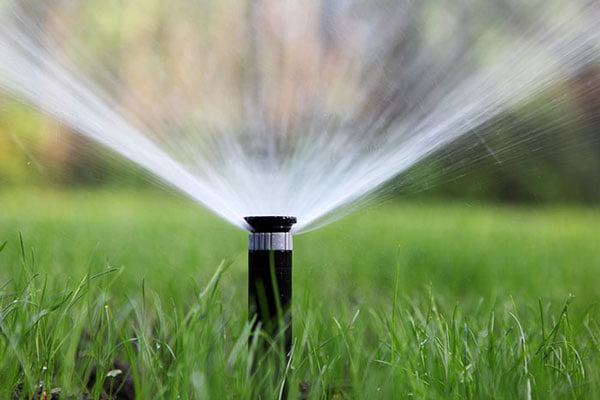 Read more about the article Fall & Winter Outdoor Watering Schedule