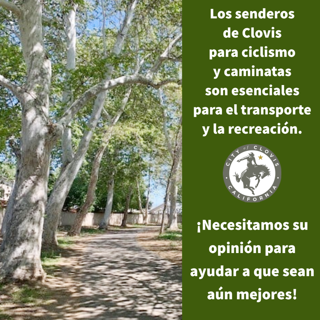 Read more about the article El futuro de los senderos para caminar y andar en bicicleta por la ciudad