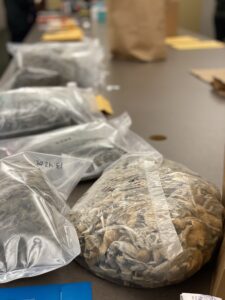 Evidence collected from narcotic search warrant