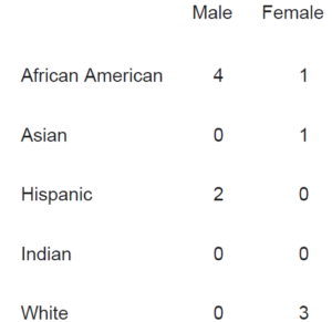 Graph showing race and gender of our officers